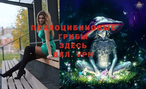 spice Белокуриха