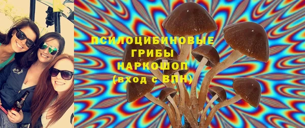 ПСИЛОЦИБИНОВЫЕ ГРИБЫ Беломорск