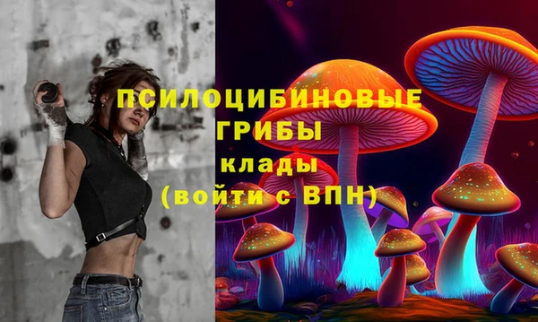 spice Белокуриха