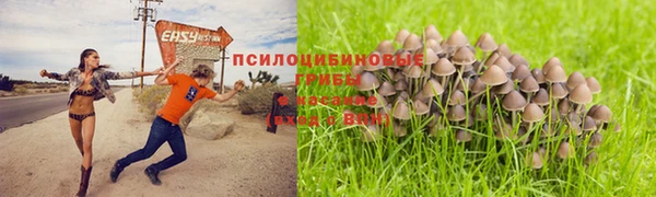 ПСИЛОЦИБИНОВЫЕ ГРИБЫ Беломорск