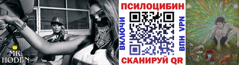 Галлюциногенные грибы GOLDEN TEACHER  купить наркотики сайты  Вяземский 